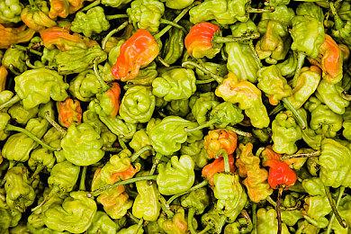 太空沙盒探险游戏《ASTRONEER》NS＆PS4实体版数字版均正式发布